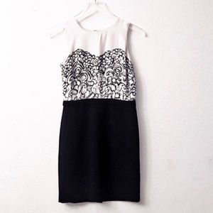 Ann Taylor LOFT White & Black Sheath Dress 0P